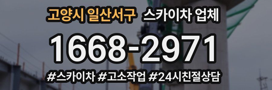 고양시 일산서구 스카이차 업체