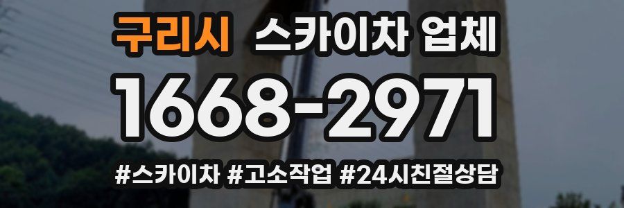 구리시 스카이차 업체