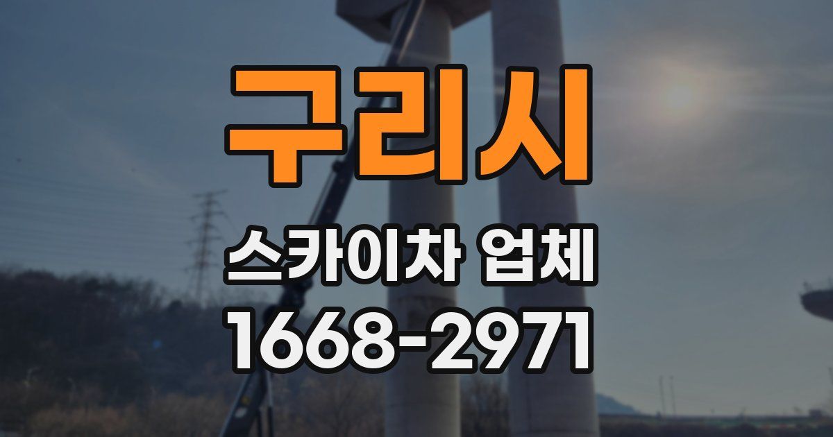구리시 스카이차 업체