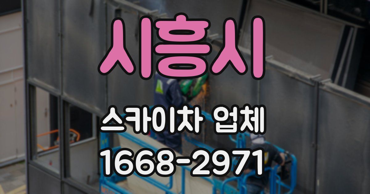 시흥시 스카이차 업체
