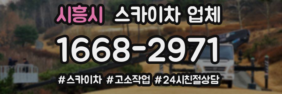 시흥시 스카이차 업체