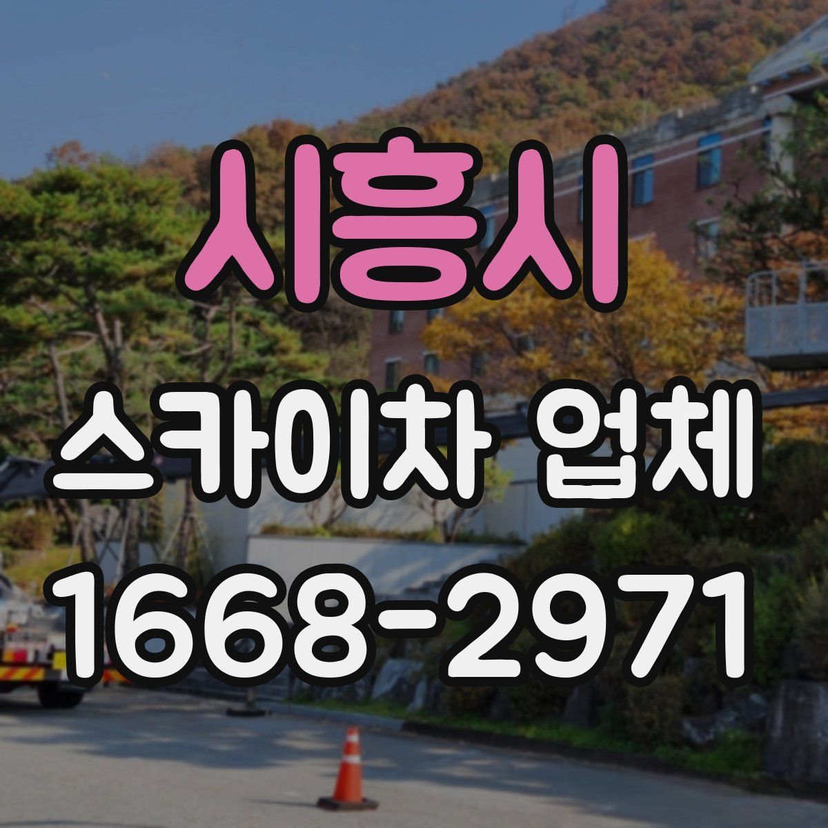 시흥시 스카이차 업체