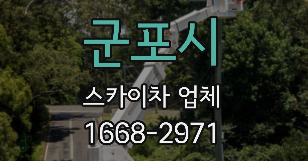 군포시 스카이차 업체