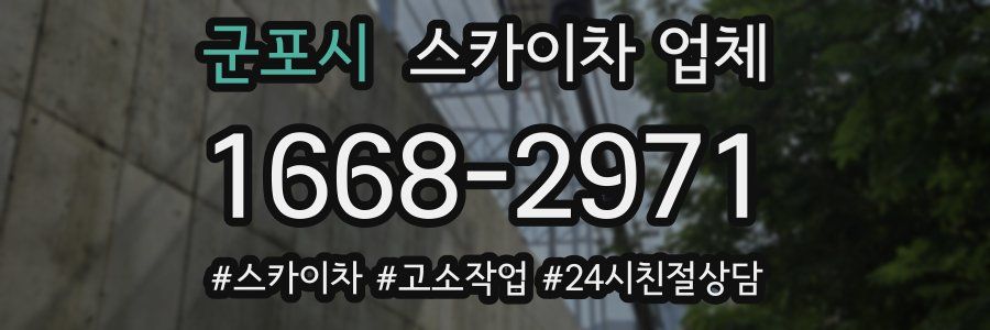 군포시 스카이차 업체