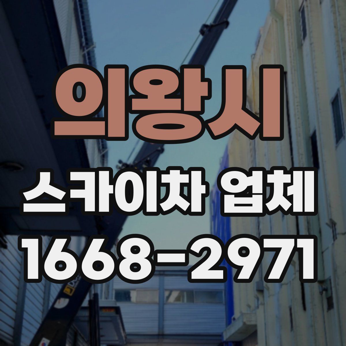 의왕시 스카이차 업체