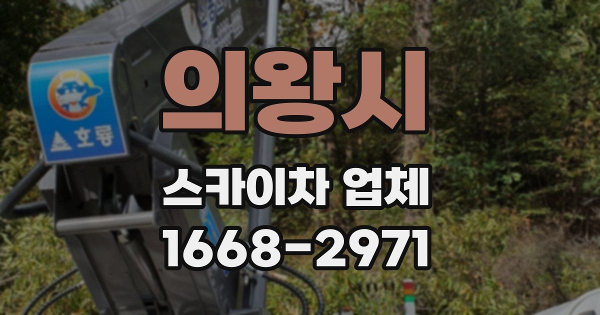 의왕시 스카이차 업체