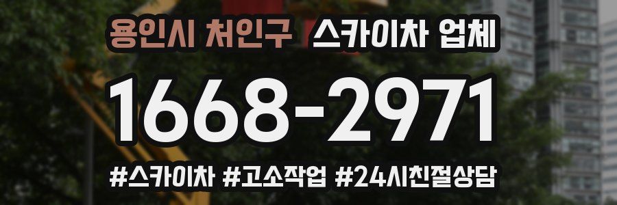용인시 처인구 스카이차 업체