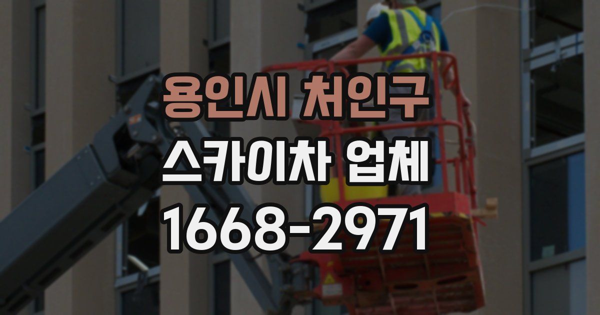 용인시 처인구 스카이차 업체