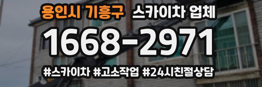 용인시 기흥구 스카이차 업체