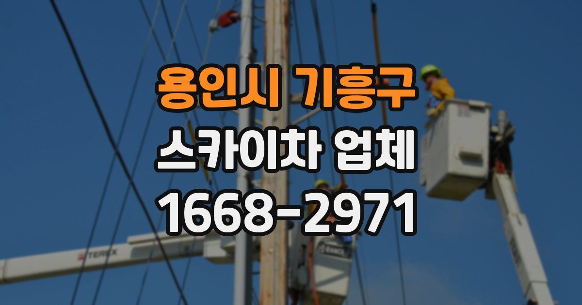 용인시 기흥구 스카이차 업체
