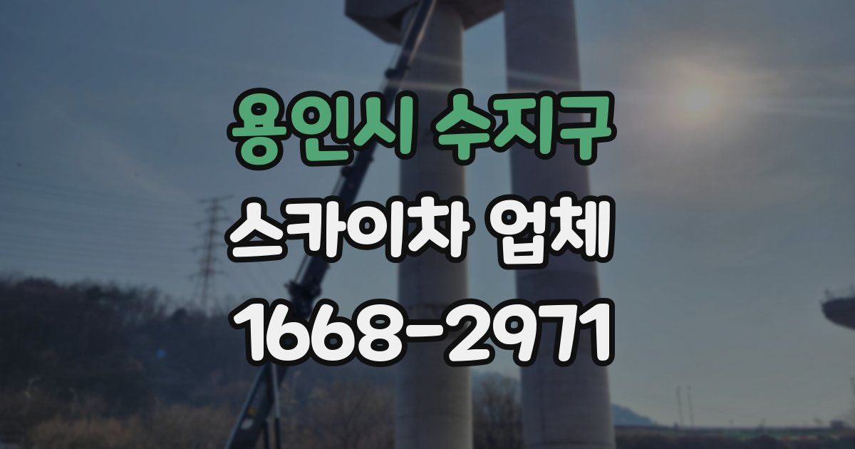 용인시 수지구 스카이차 업체