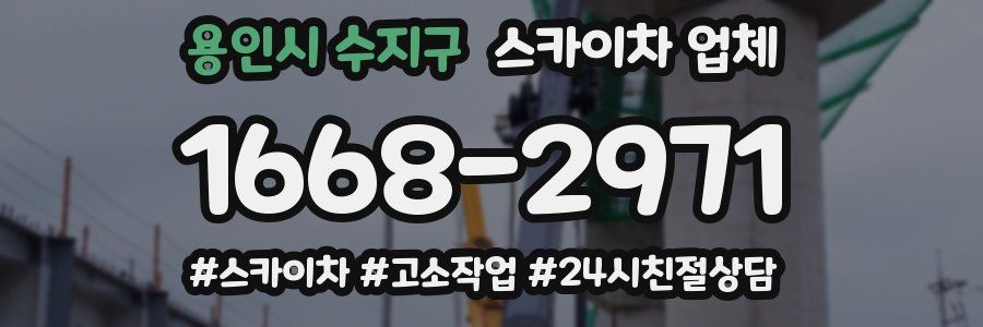 용인시 수지구 스카이차 업체