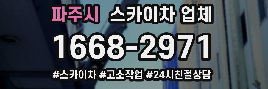 파주시 스카이차 업체