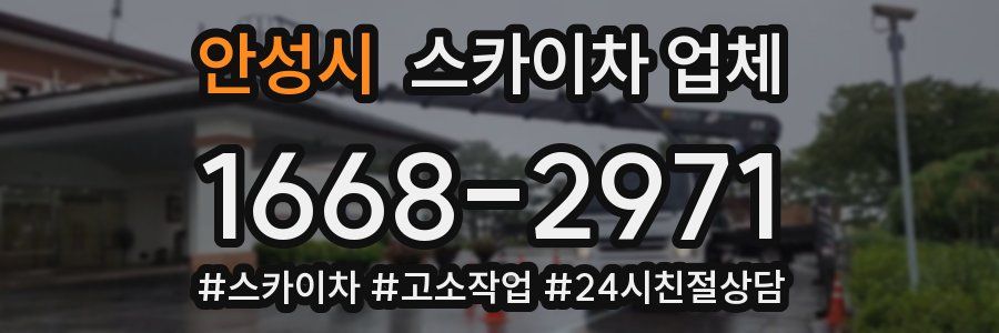 안성시 스카이차 업체