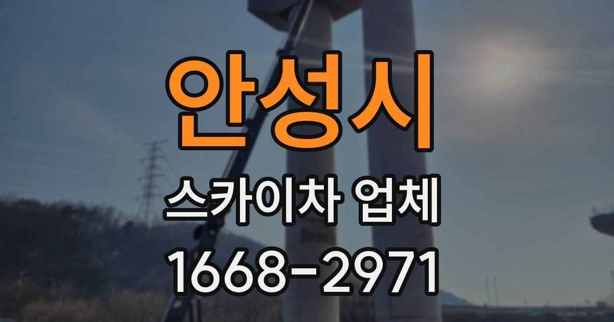 안성시 스카이차 업체
