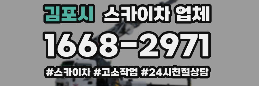 김포시 스카이차 업체