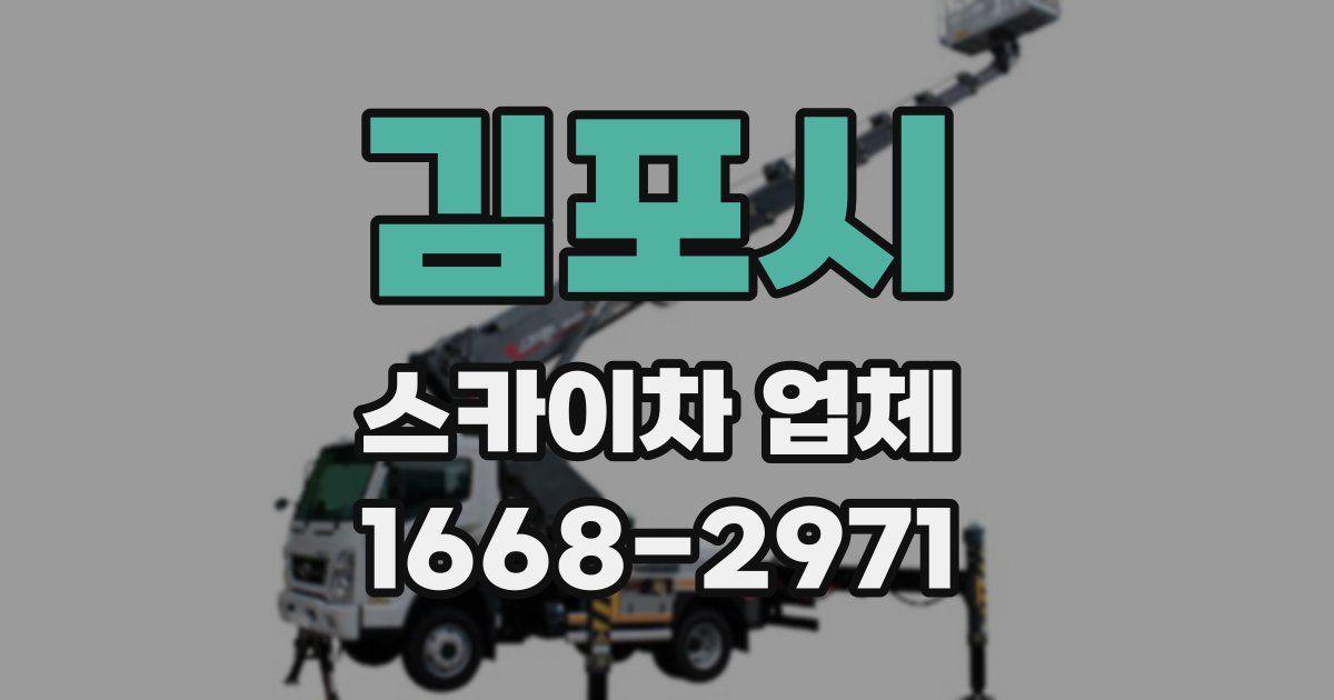 김포시 스카이차 업체