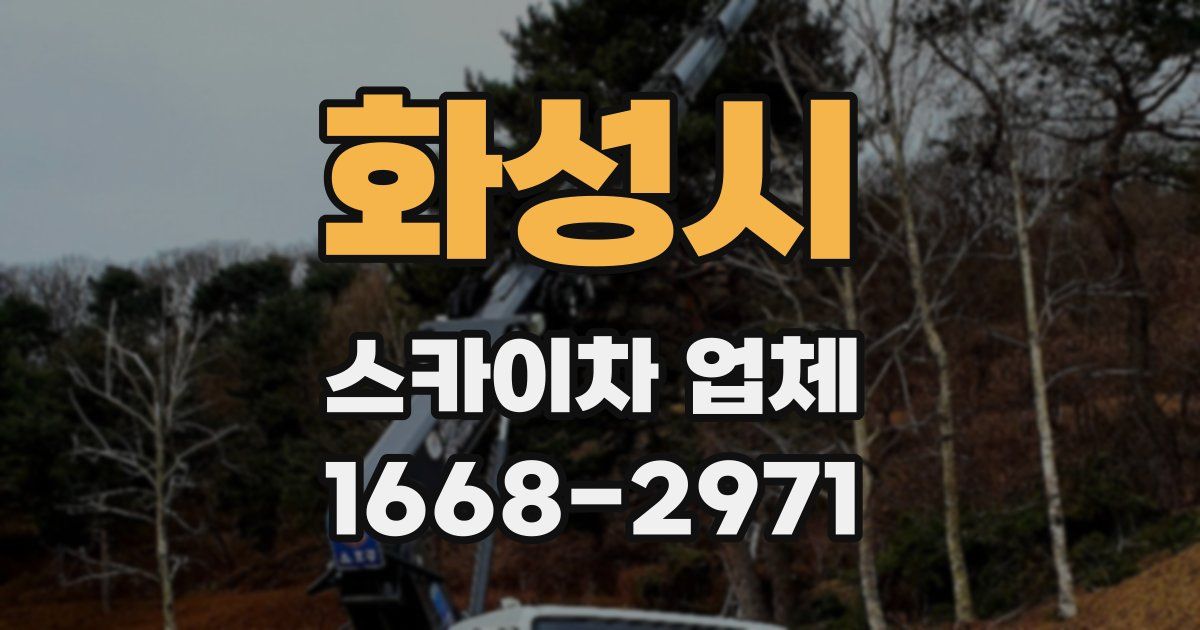 화성시 스카이차 업체
