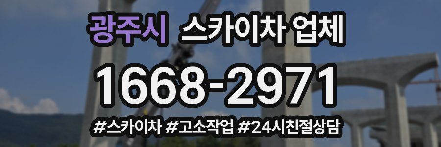 광주시 스카이차 업체