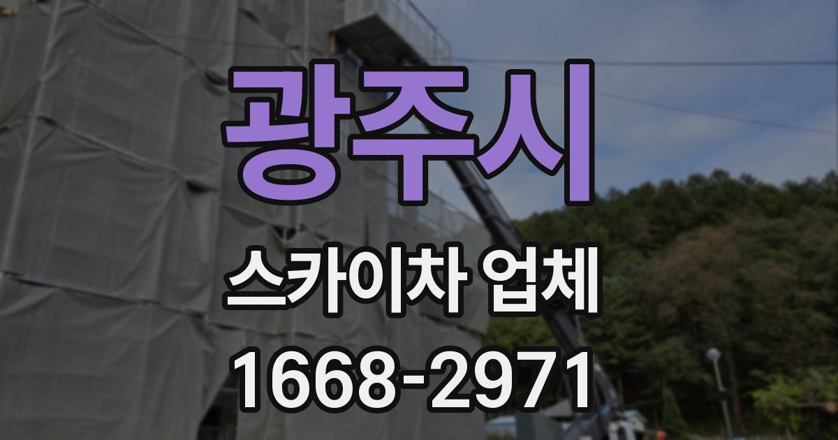 광주시 스카이차 업체