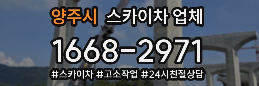 양주시 스카이차 업체