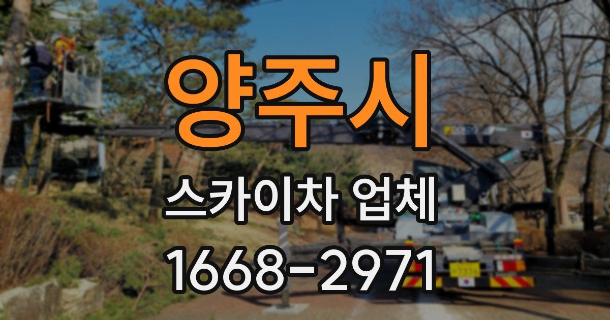 양주시 스카이차 업체