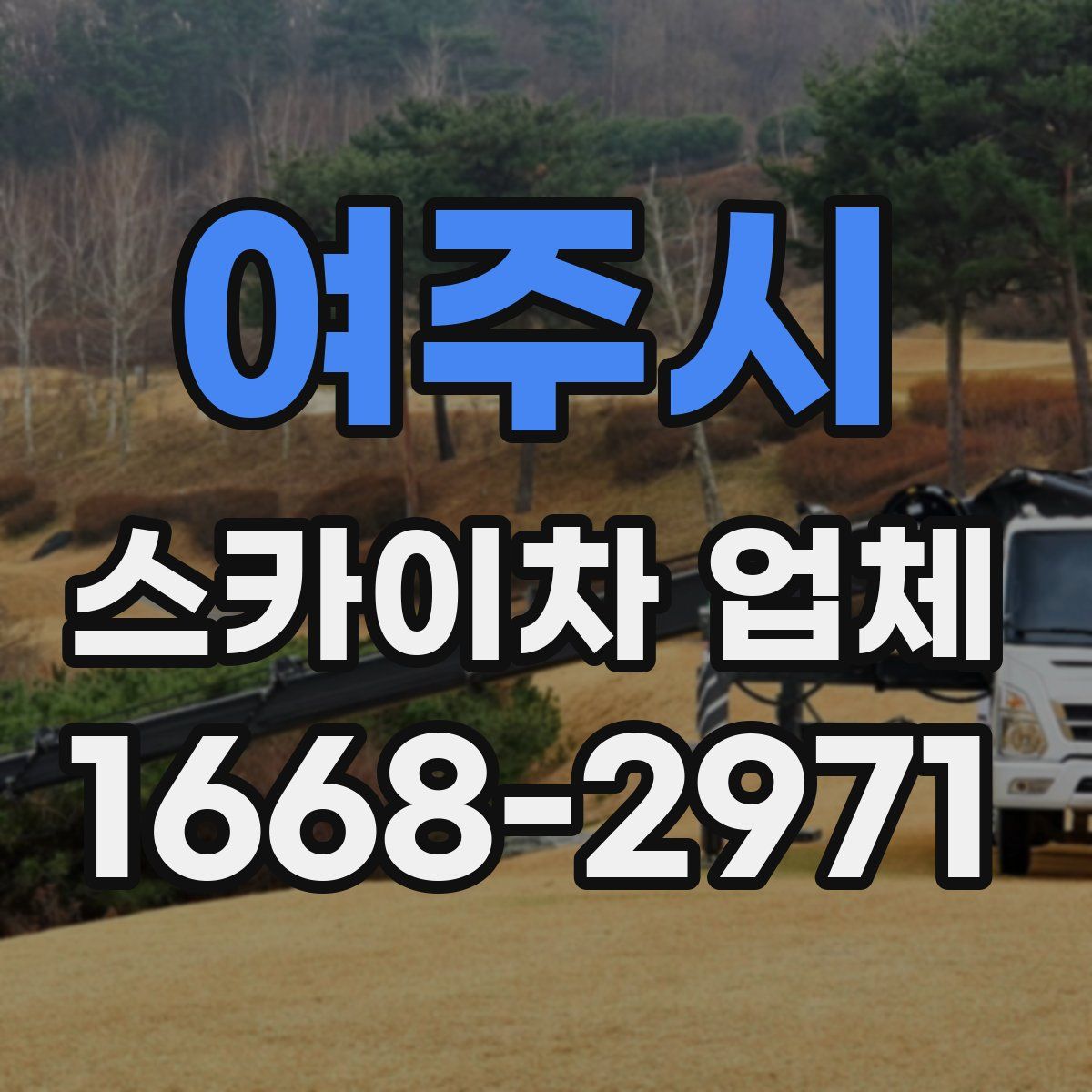 여주시 스카이차 업체