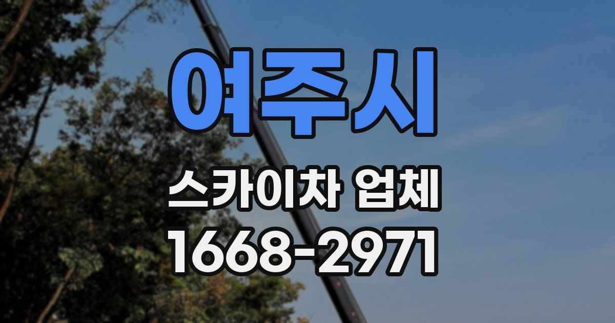여주시 스카이차 업체