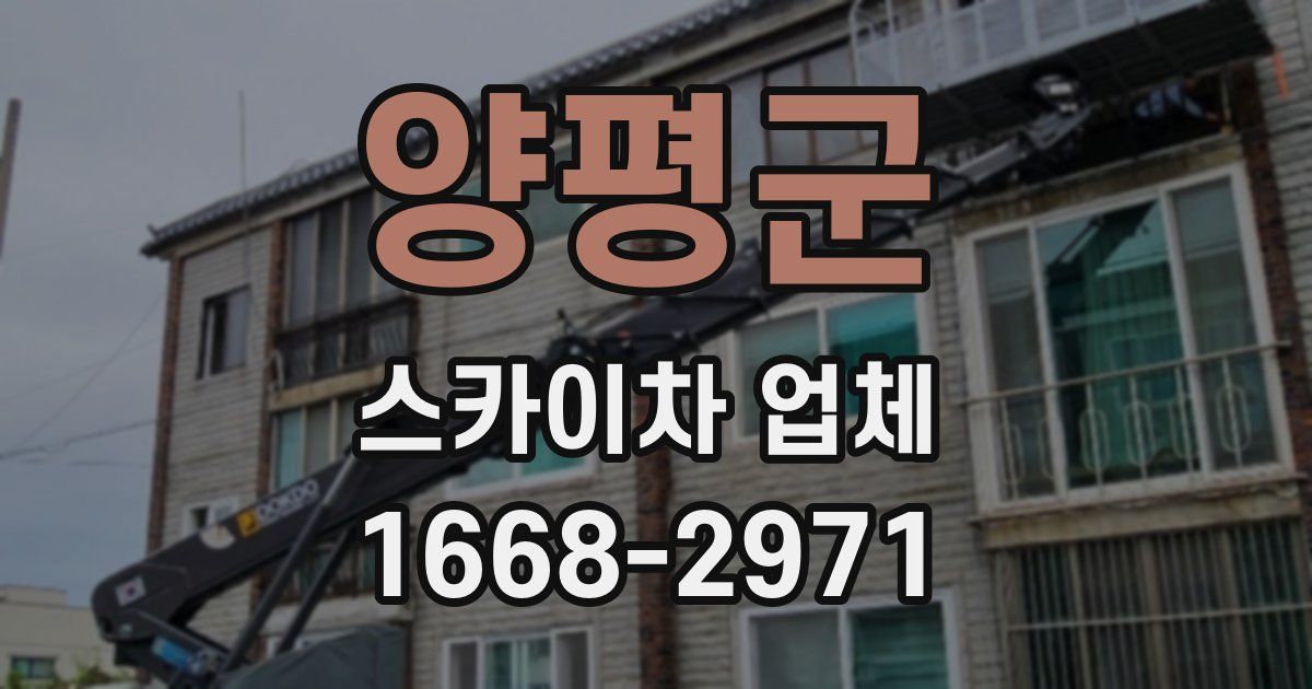 양평군 스카이차 업체