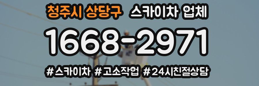 청주시 상당구 스카이차 업체