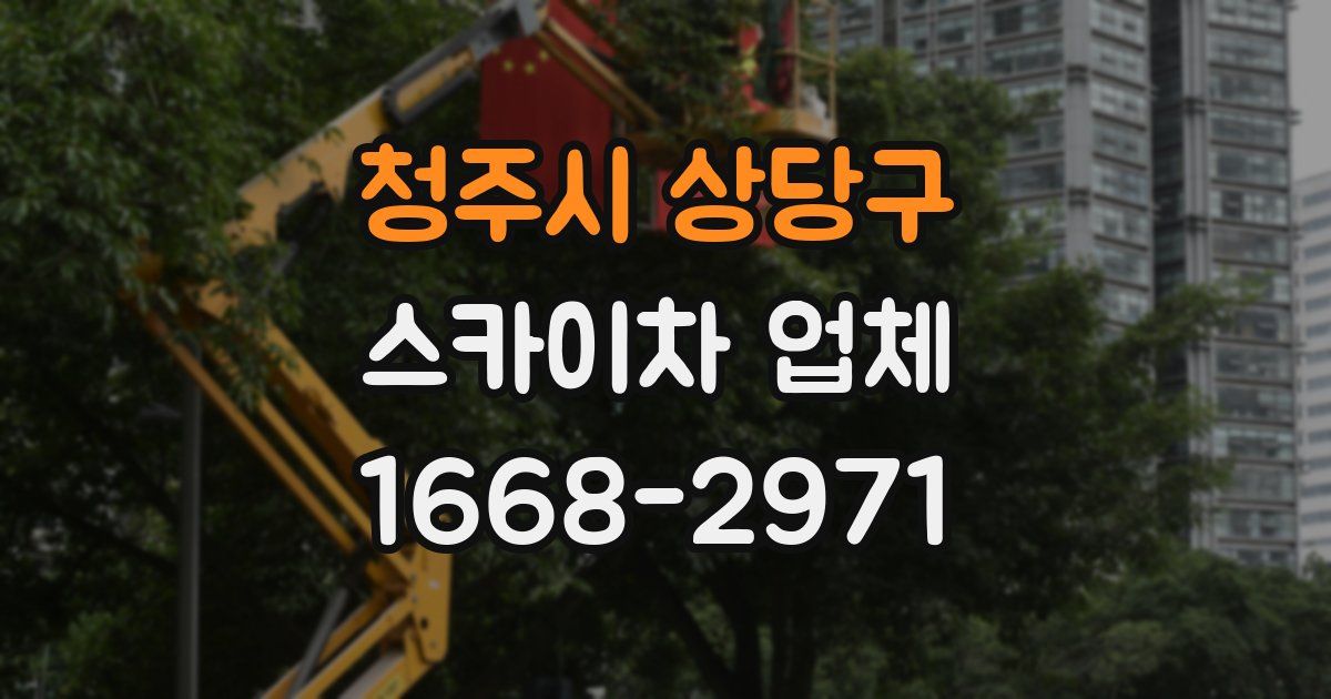 청주시 상당구 스카이차 업체