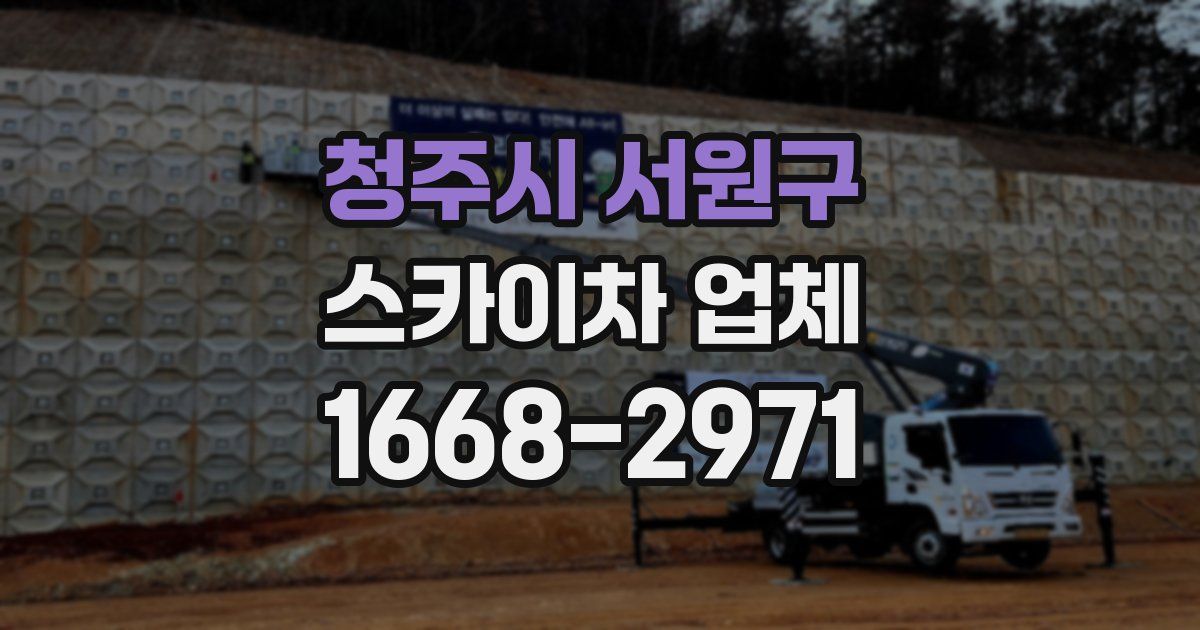 청주시 서원구 스카이차 업체