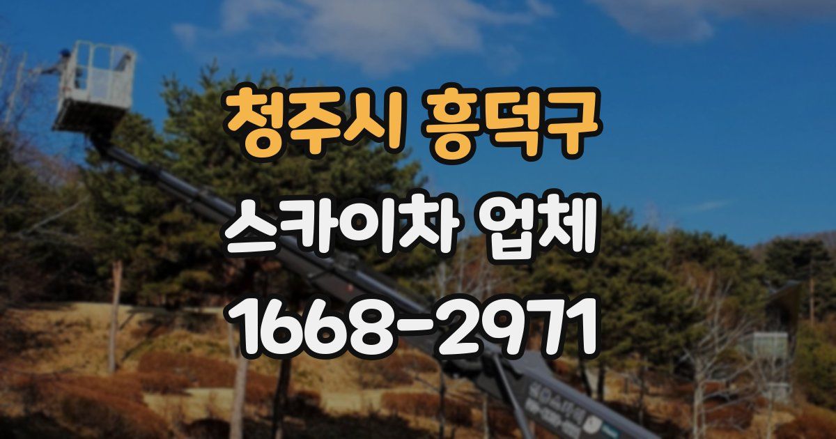 청주시 흥덕구 스카이차 업체