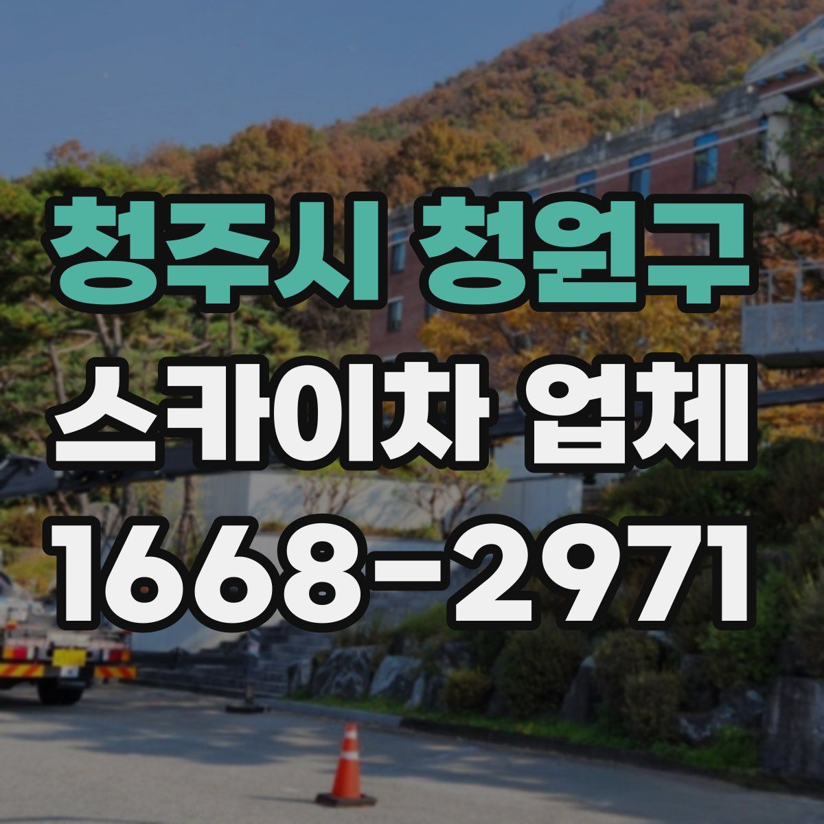 청주시 청원구 스카이차 업체
