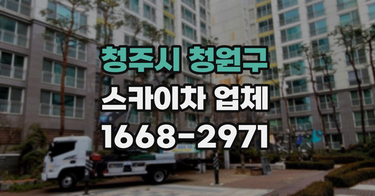 청주시 청원구 스카이차 업체