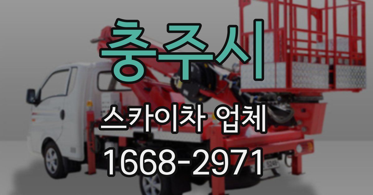 충주시 스카이차 업체