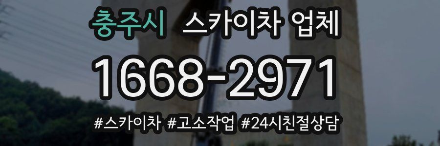 충주시 스카이차 업체