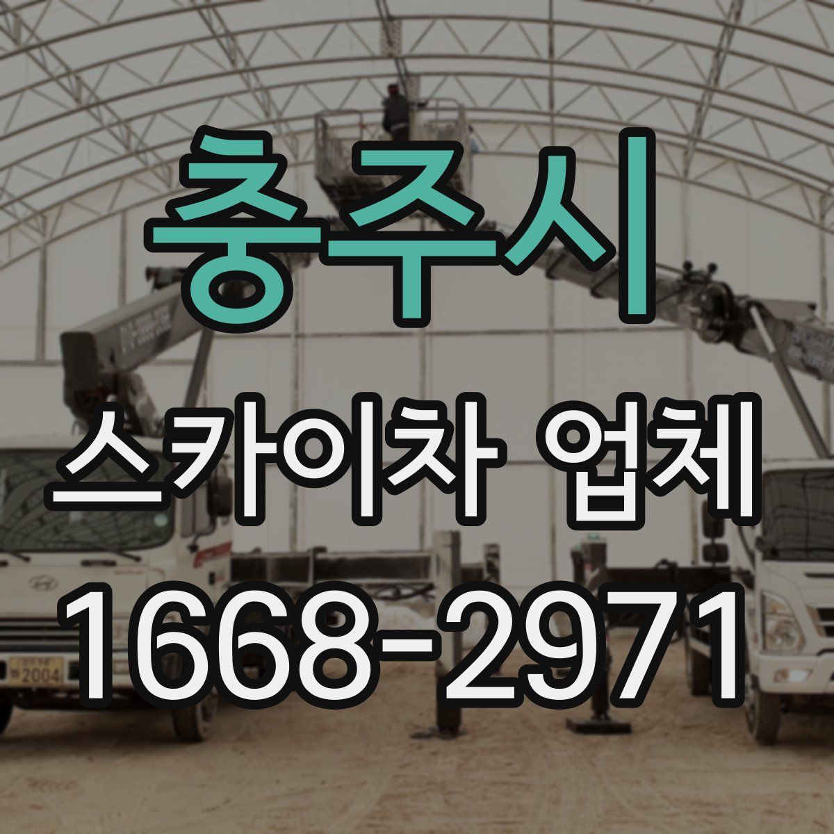 충주시 스카이차 업체