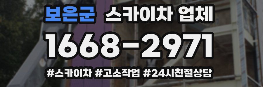 보은군 스카이차 업체