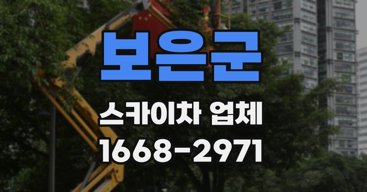 보은군 스카이차 업체