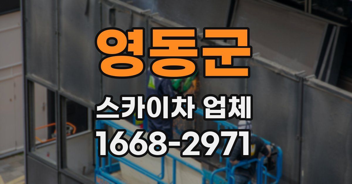 영동군 스카이차 업체
