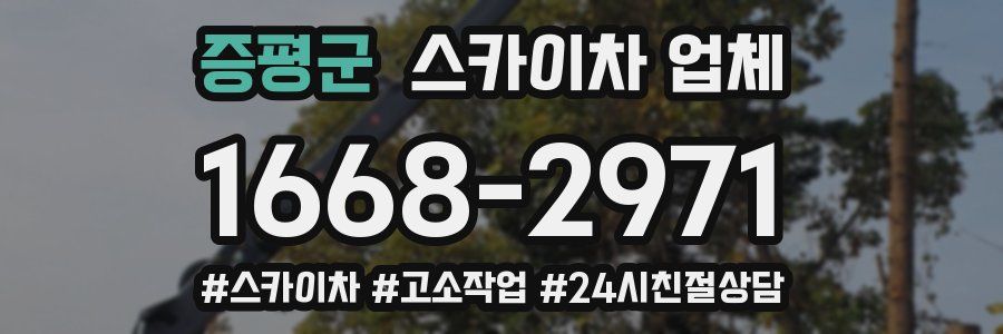 증평군 스카이차 업체