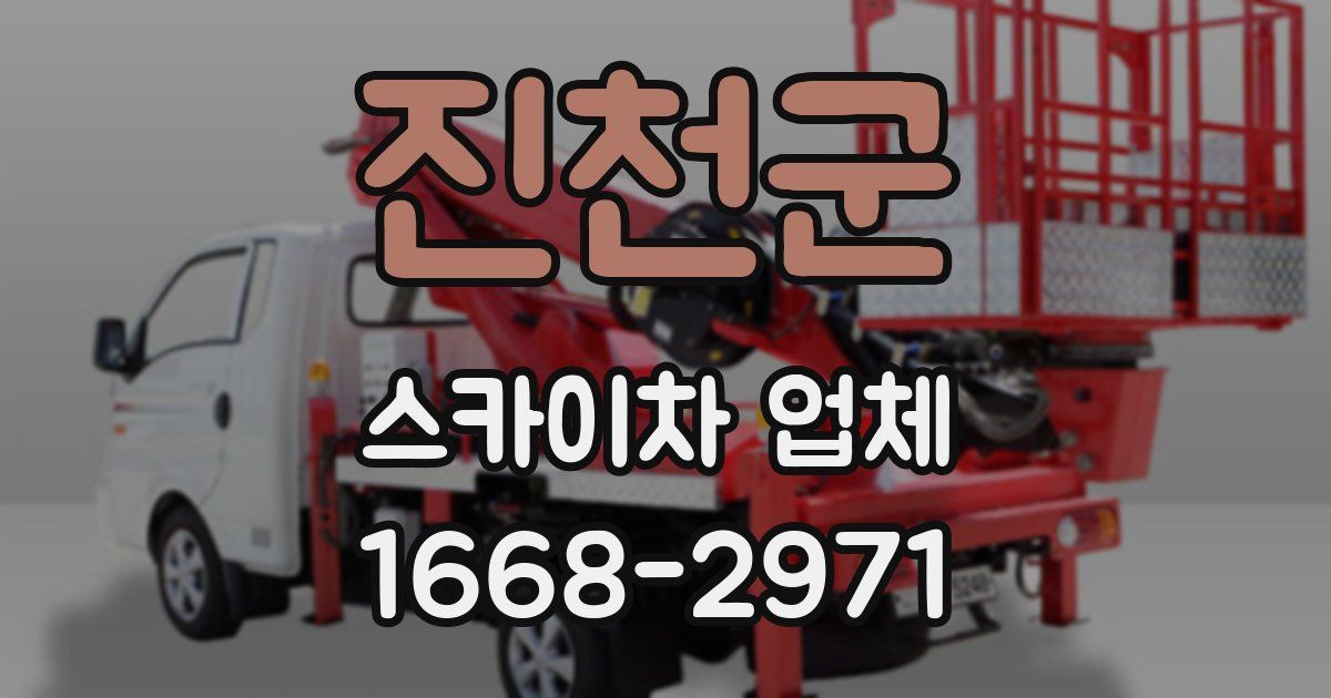 진천군 스카이차 업체