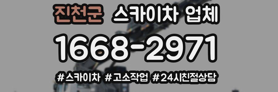 진천군 스카이차 업체