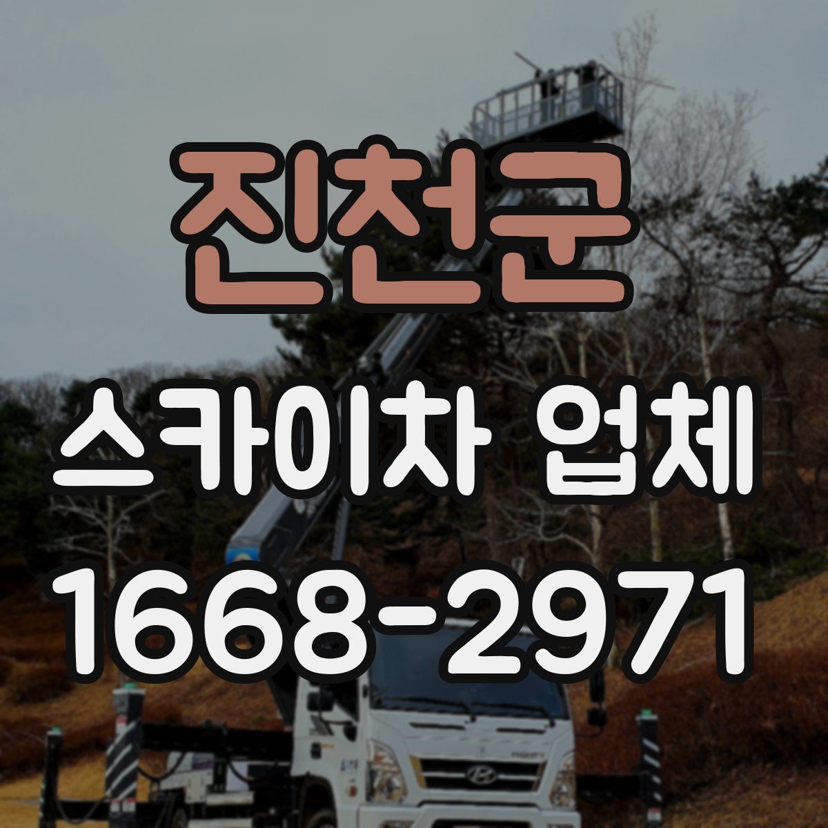 진천군 스카이차 업체