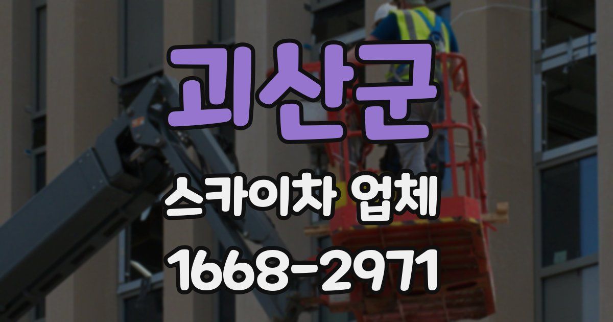 괴산군 스카이차 업체