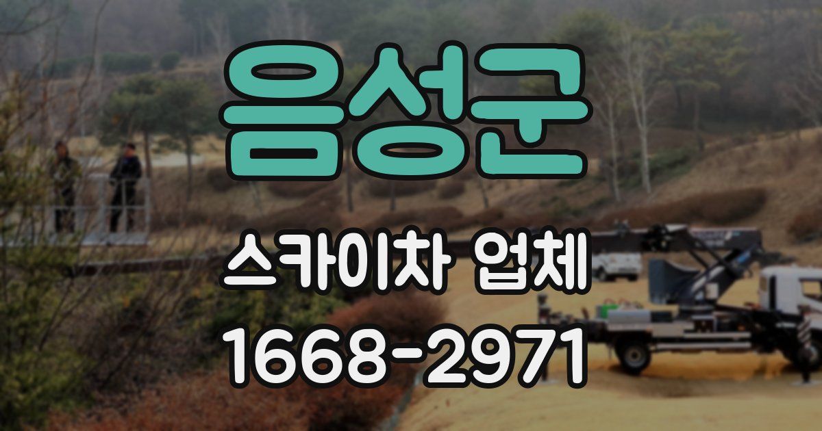 음성군 스카이차 업체
