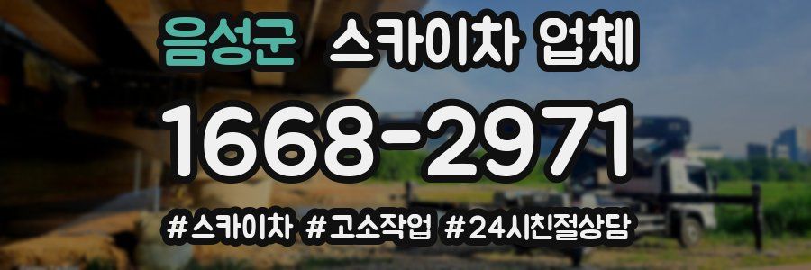 음성군 스카이차 업체