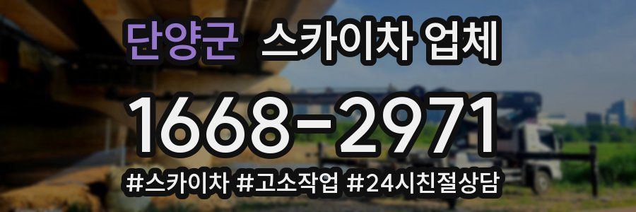 단양군 스카이차 업체