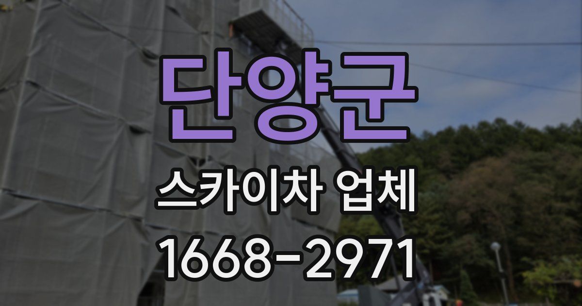 단양군 스카이차 업체